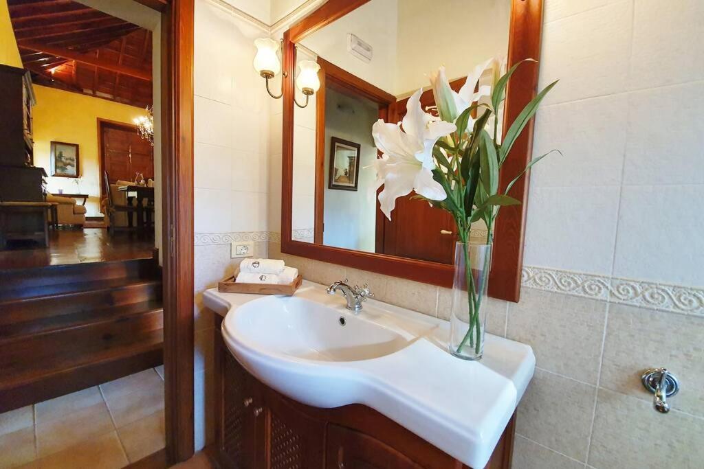 Apartament Casa Emblematica Tegueste Zewnętrze zdjęcie