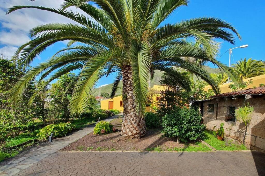 Apartament Casa Emblematica Tegueste Zewnętrze zdjęcie